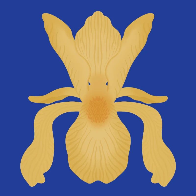 Floraison d’Iris doré