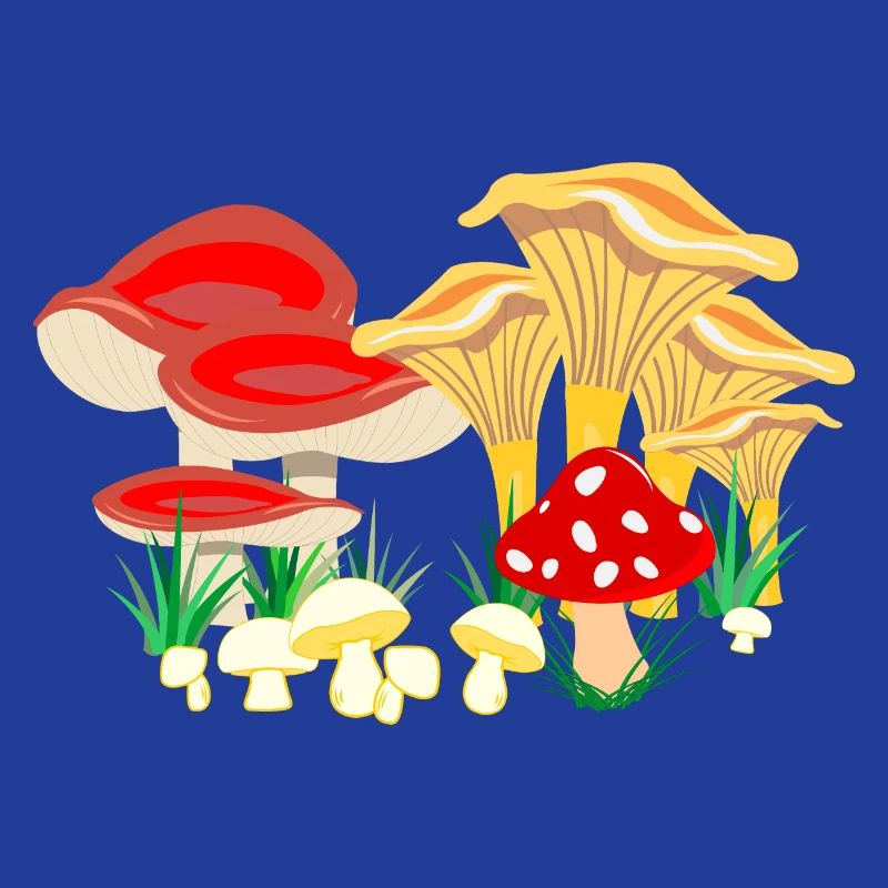 Composition colorée des champignons