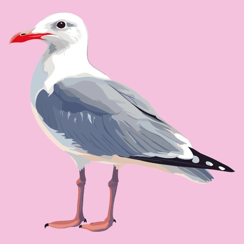 Seagull