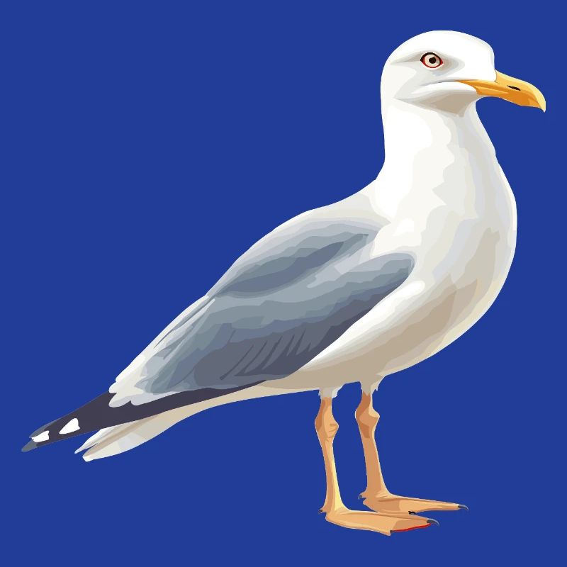 Coastal Clouds Seagull