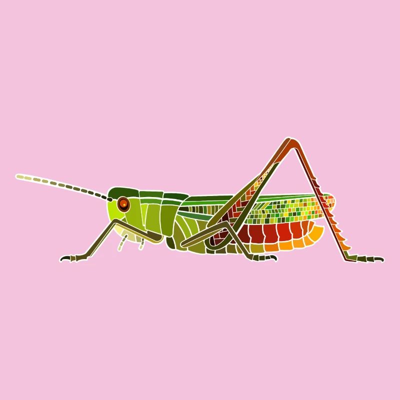 Heath grasshopper