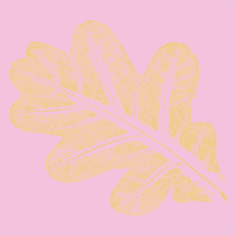 Leaf - Oak / Botany & Nature