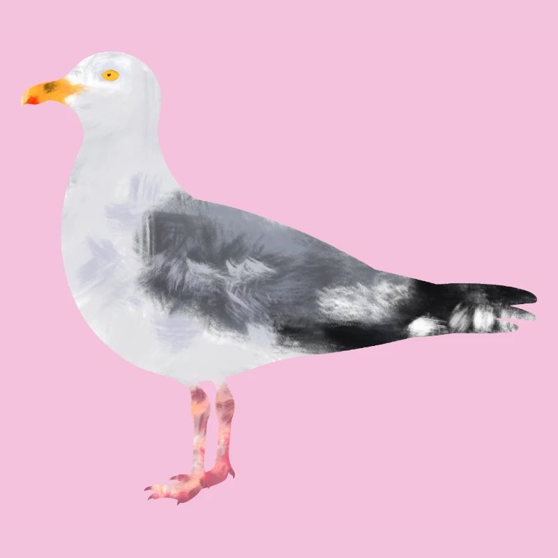 Silbermöve