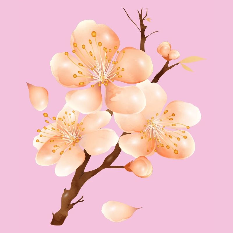 Branche de fleur de pêcher dans un ton pêche doux et velouté