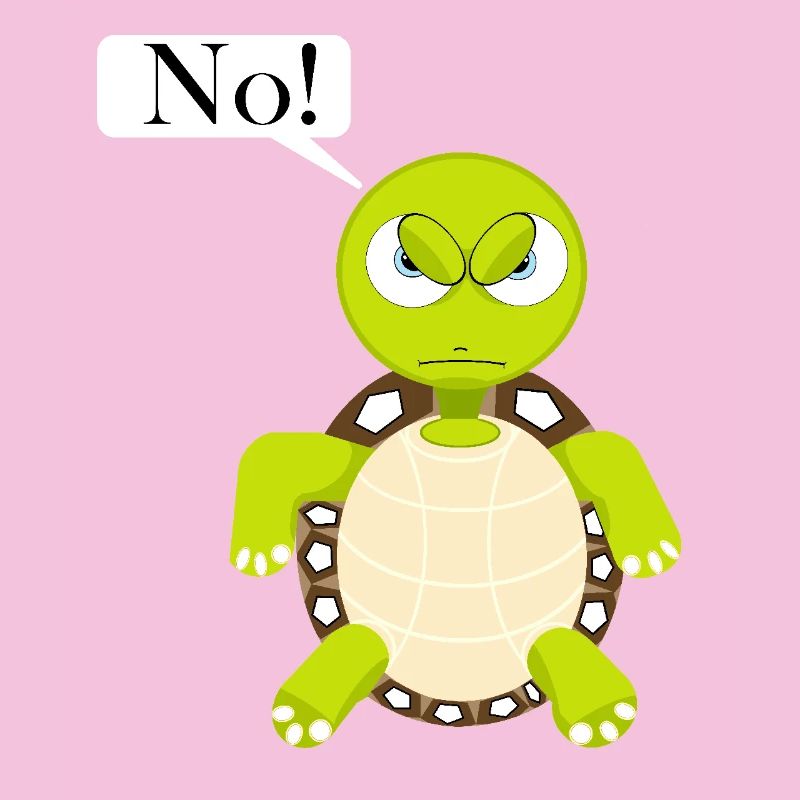 Statement No Turtle, No Fun Comic, No