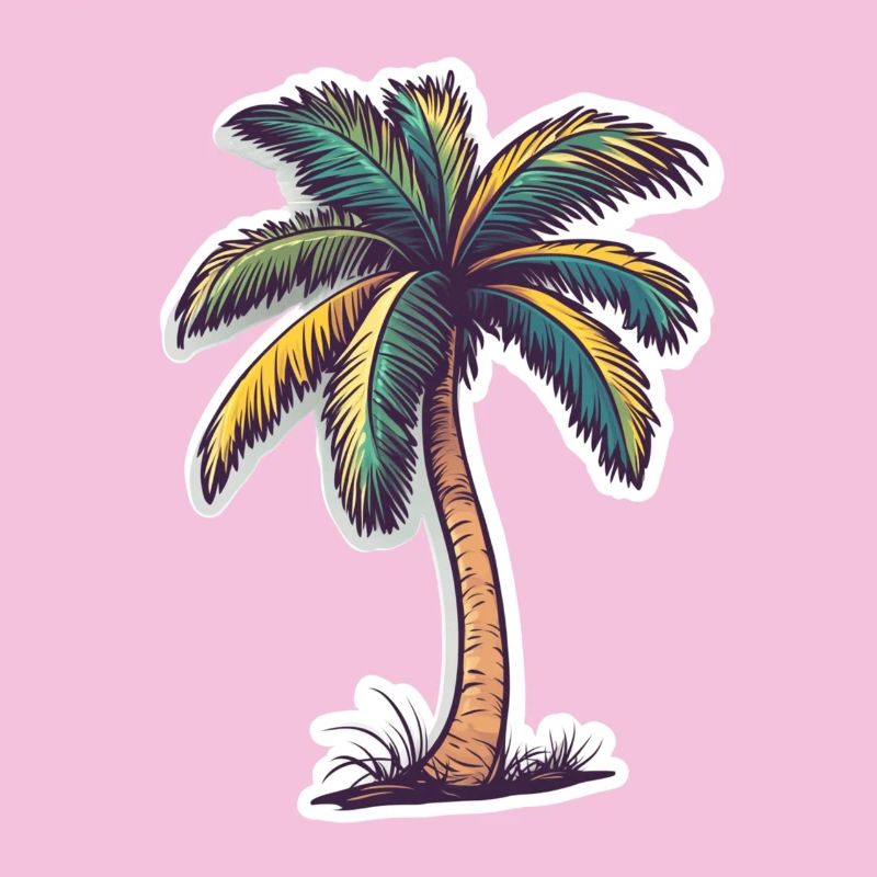 Palm tree