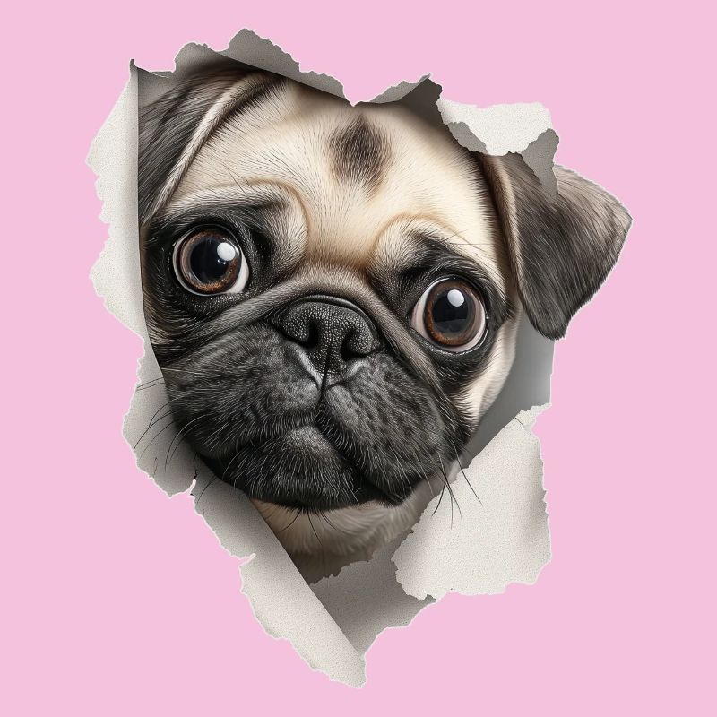 Mops