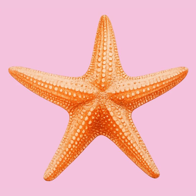Conception de la plage Orange Starfish