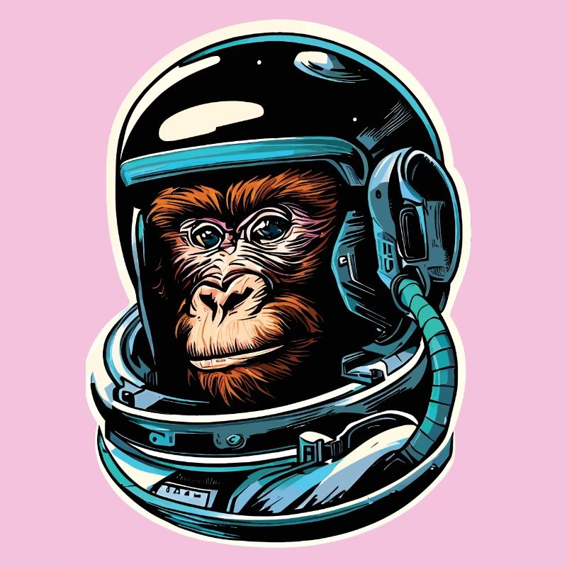 Space Monkey
