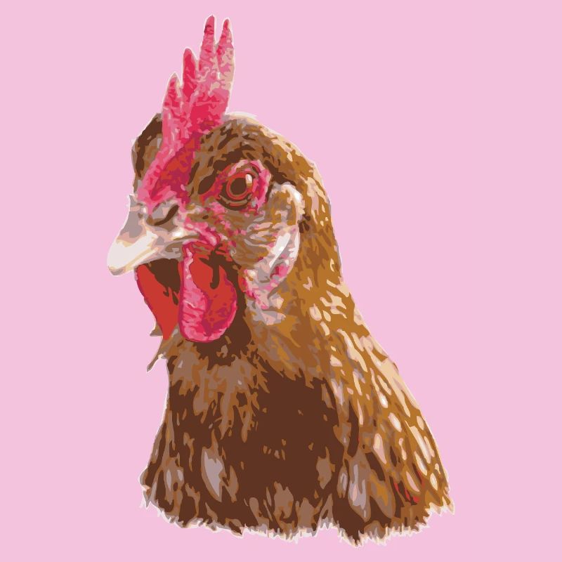 Fans de poulet - Coq - Coq - Poulet fleur - Bio