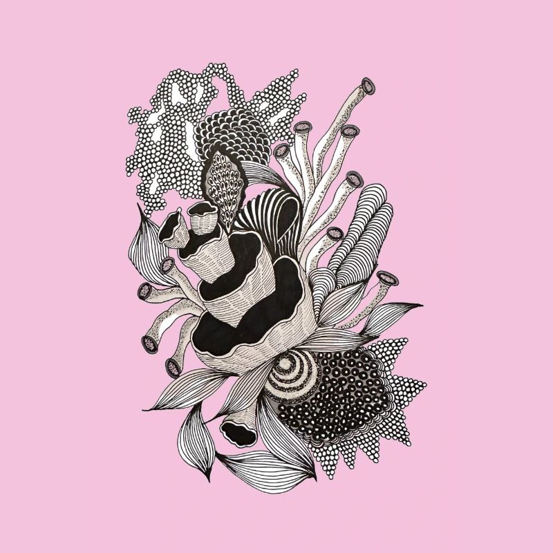 Illustration monochrome de fleurs de panda
