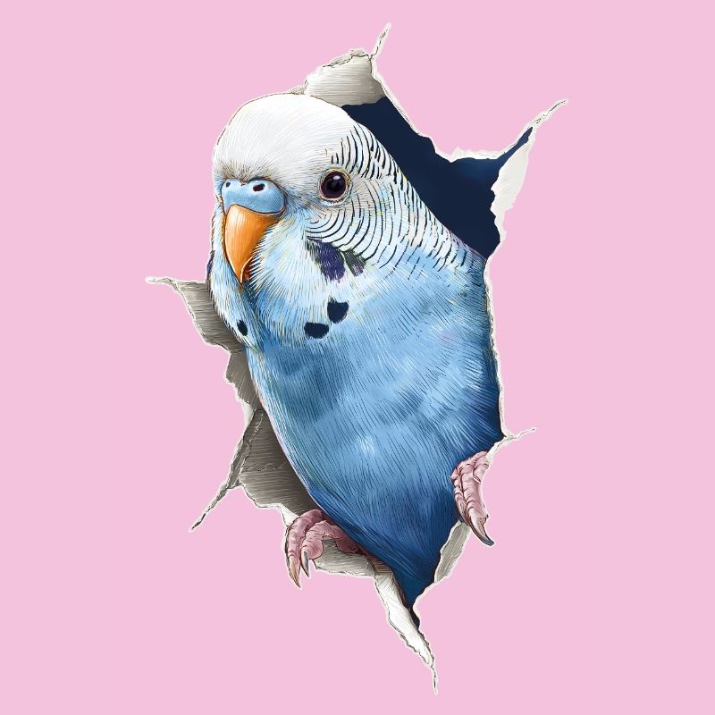 Budgerigar