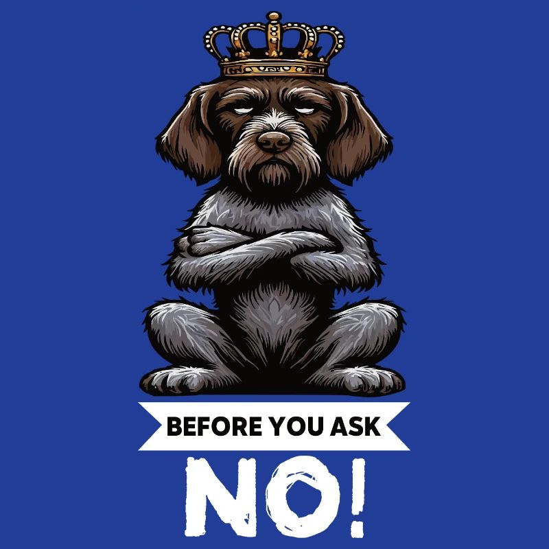 Before You Ask Deutsch Drahthaar Drahthaarhalter