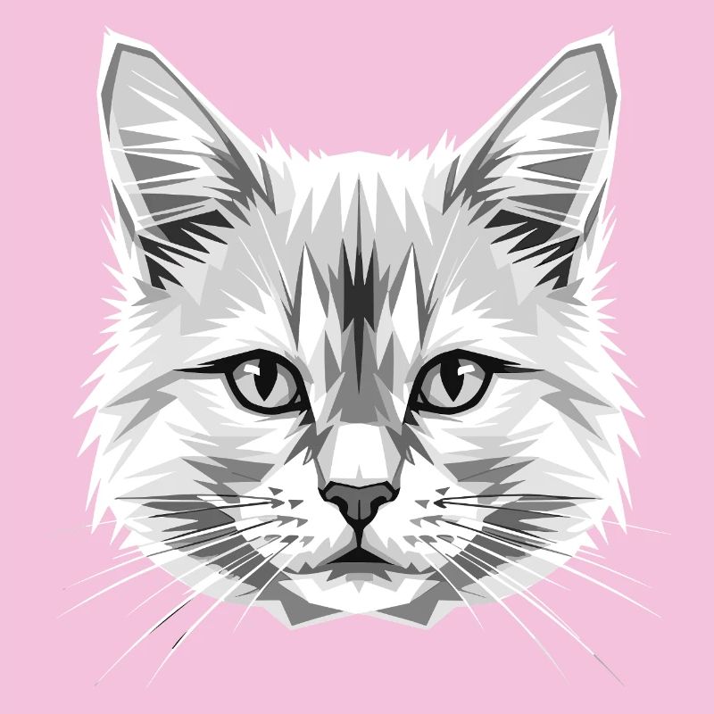 Chat Angora Chat Angora Chat Angora Mignons Chats Angora