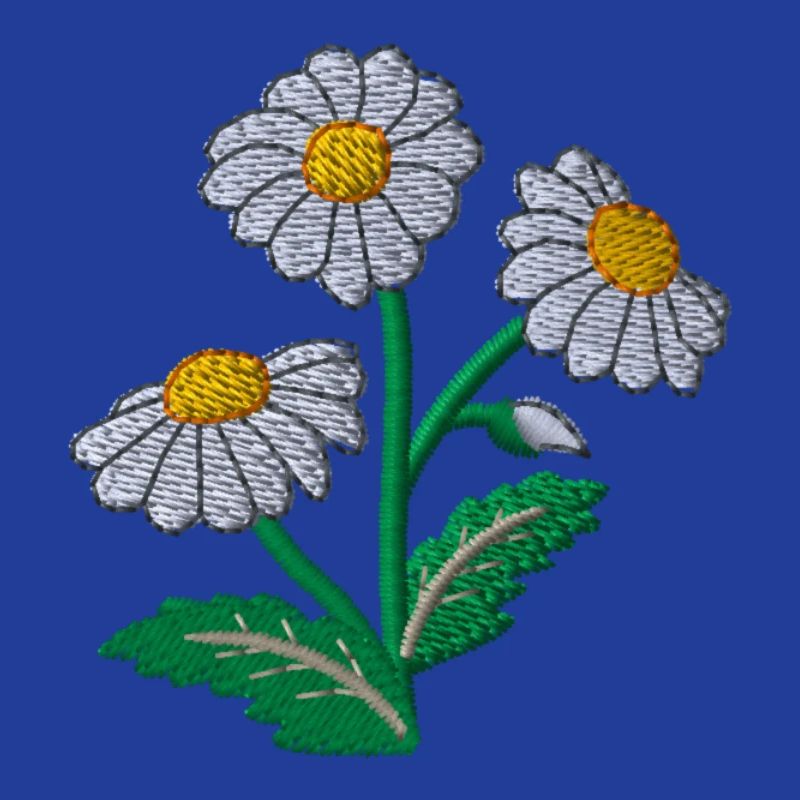 Daisy