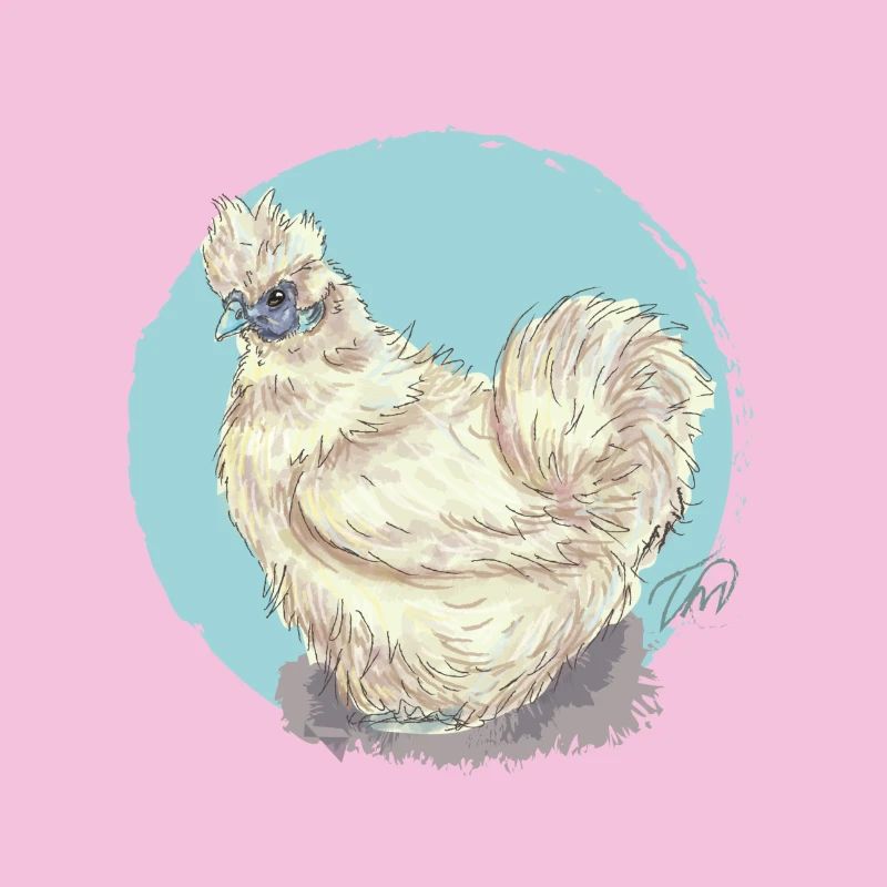 White silk hen
