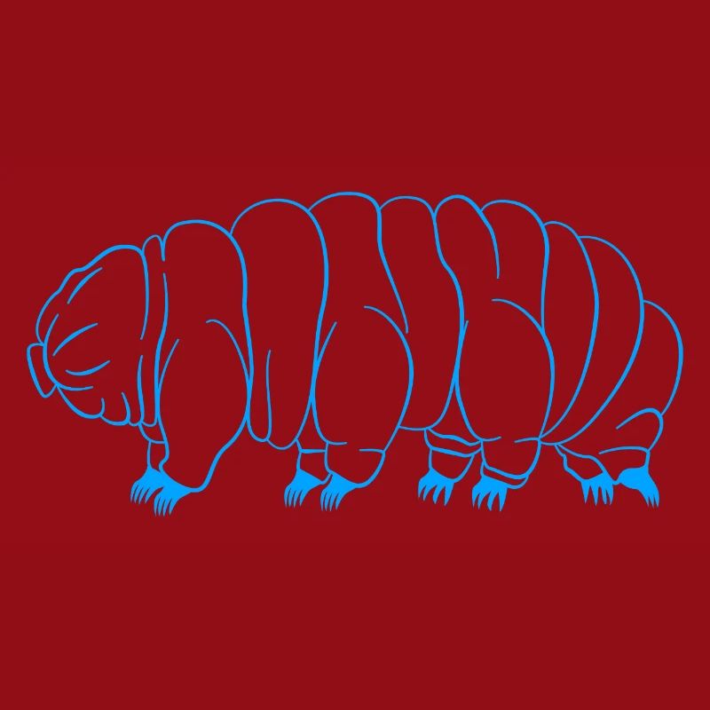 Bärtierchen Tardigrades Wasserbär Tardigrade