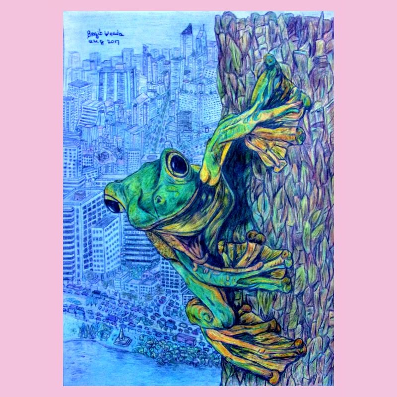 Frog on tree with city view