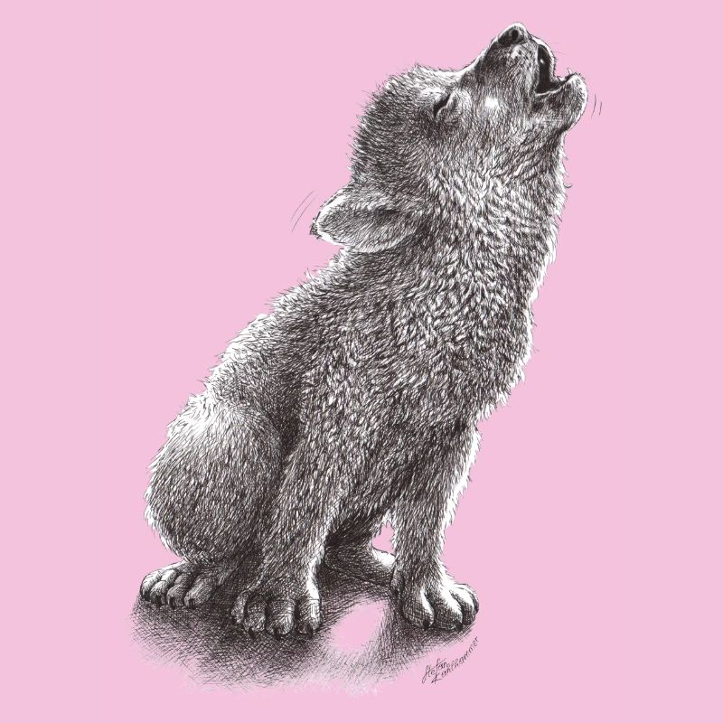 Junger heulender Wolf