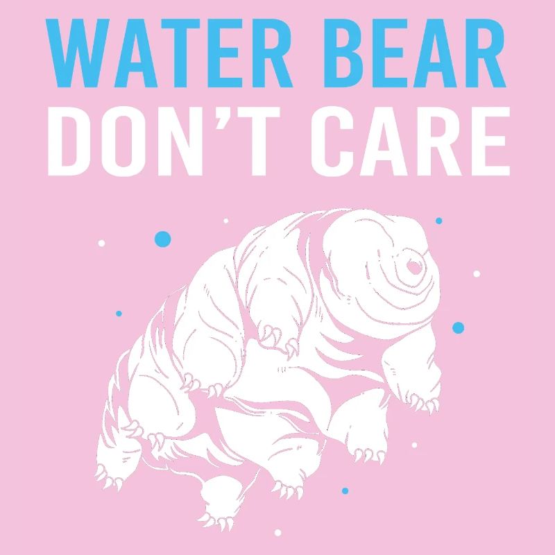 Tardigrade Tardigrade Water Bear Tardigrade