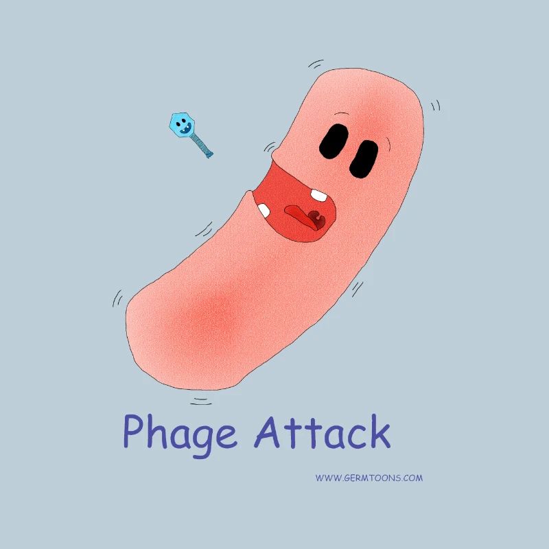 Phage Attack - Bacteria & Bacteriophage