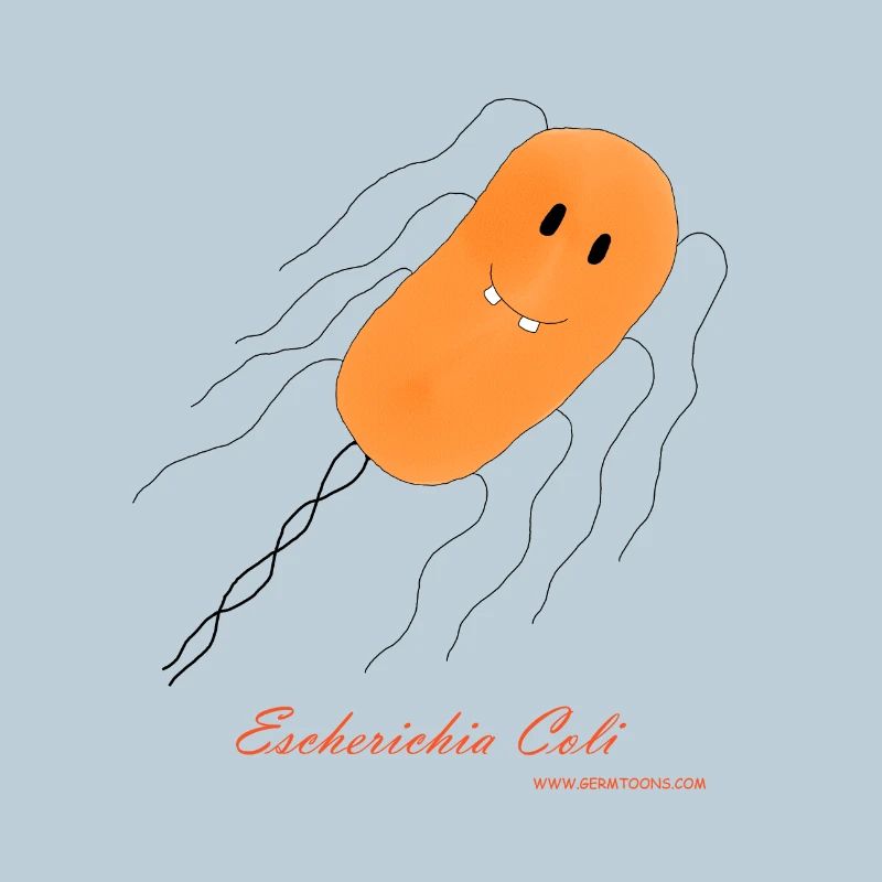 E. Coli / Escherichia Coli - Bakterie