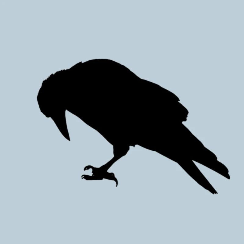 corbeau