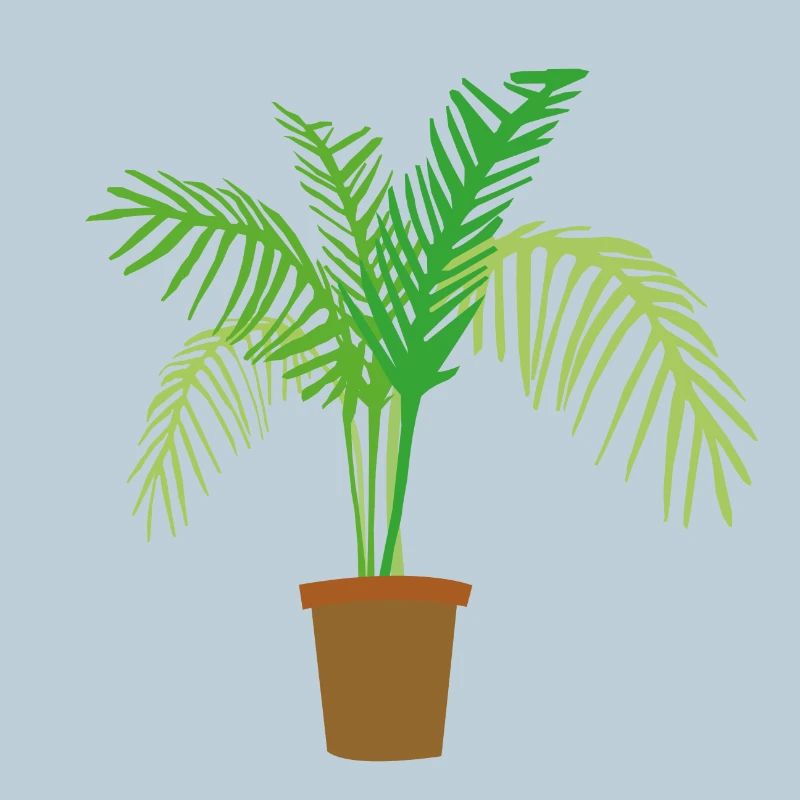 palm tree