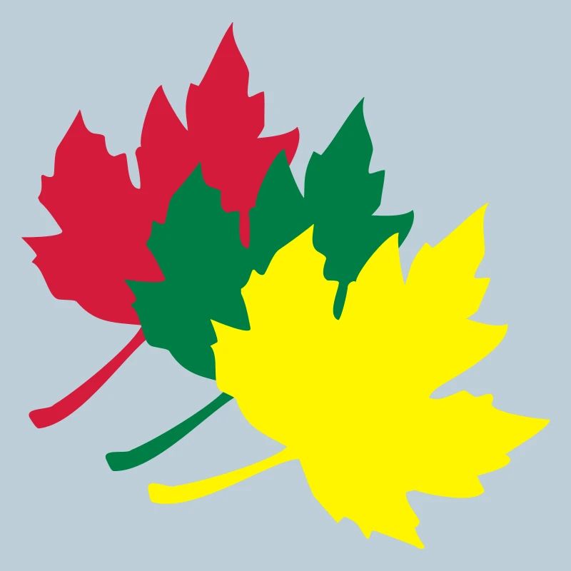maple leaf
