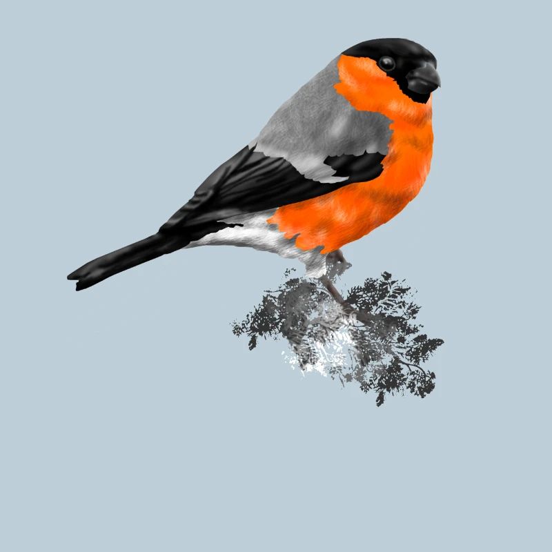 bird