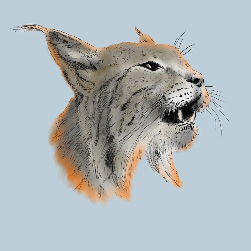Luchs