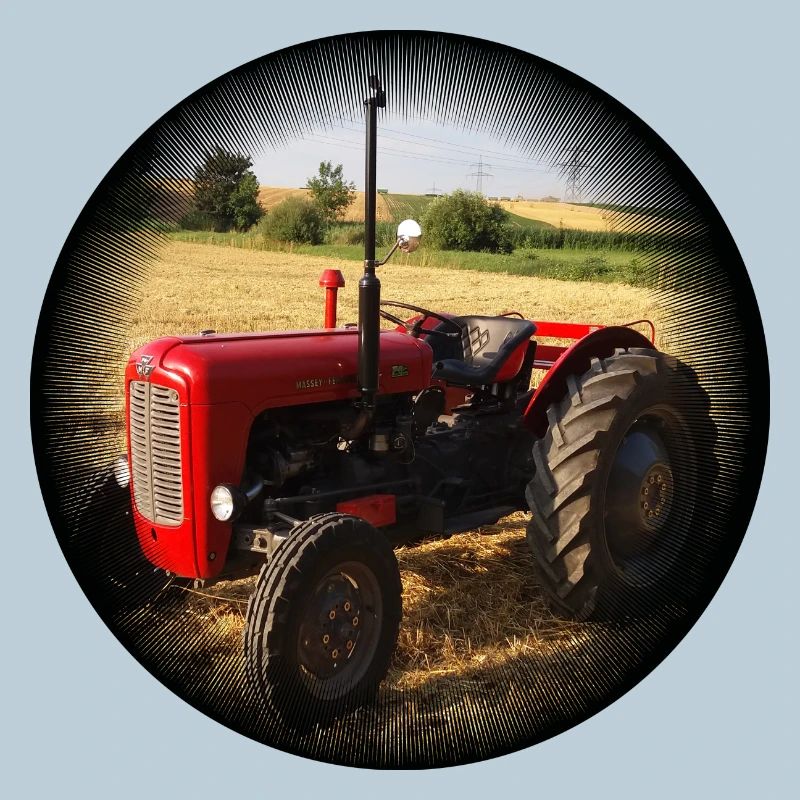 Champ de tracteurs vintage rouges