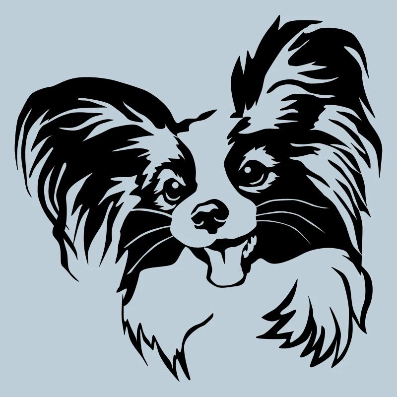 Papillon Kopf