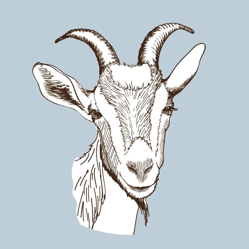 Chèvre