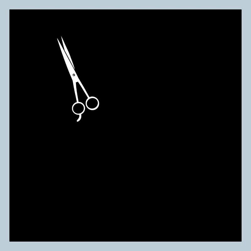 Barber scissors