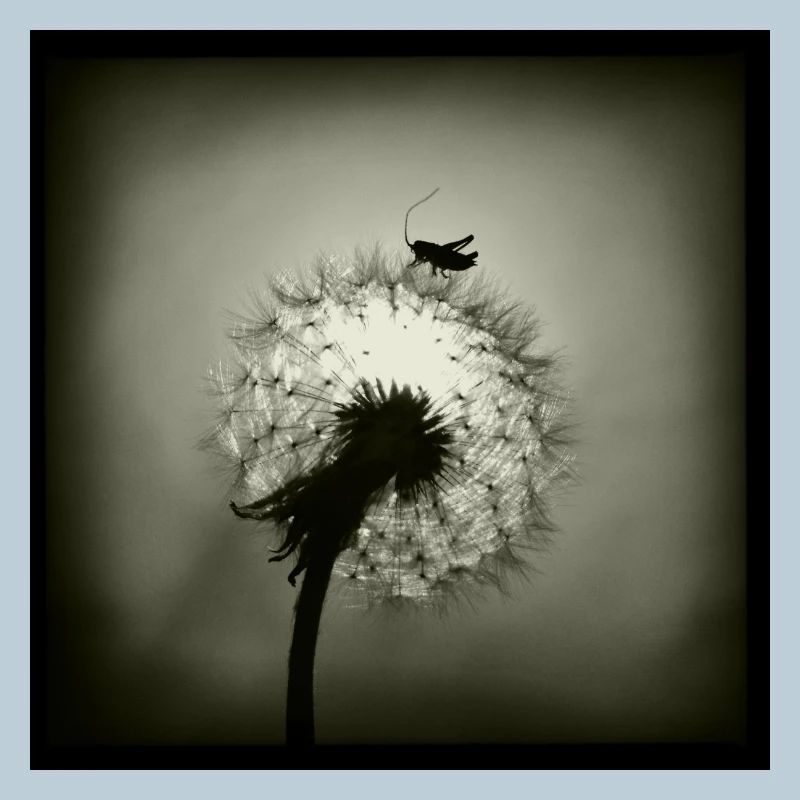 Tiny Planet