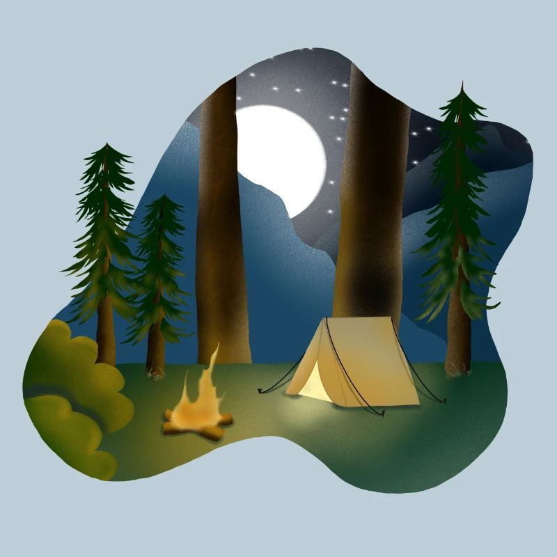Moonlit night in forest camping