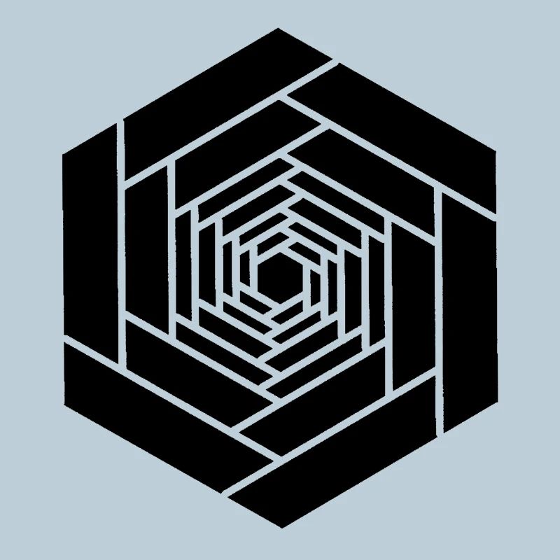 Infinite hexagon black flower
