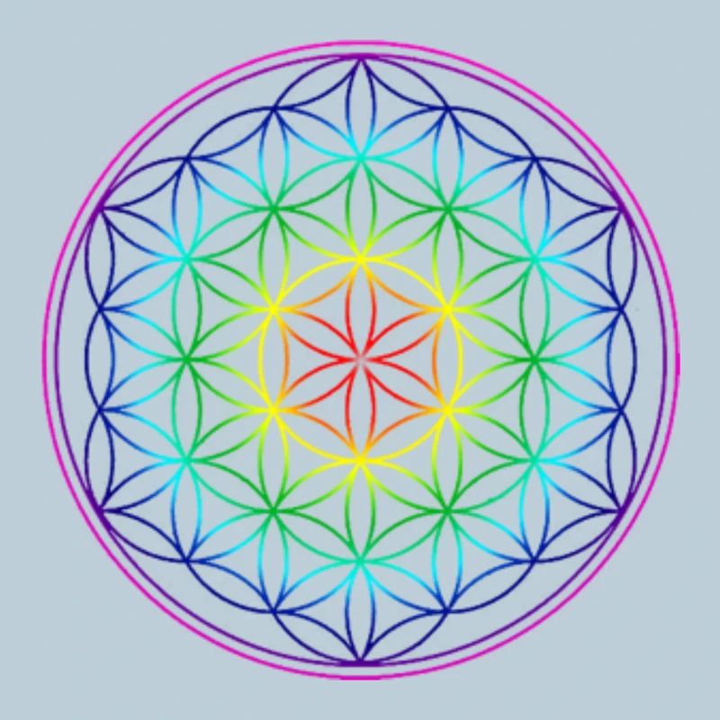REGENBOGENBLUME DES LEBENS
