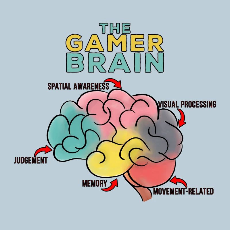 The Gamer Brain