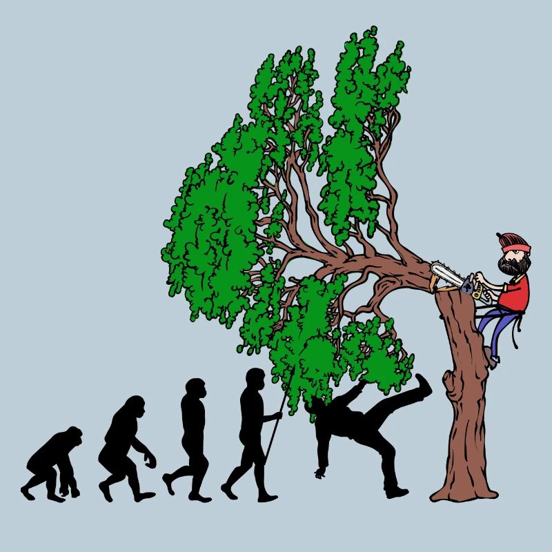 Tree Evolution Wood Lumberjack Lumberjack Forest