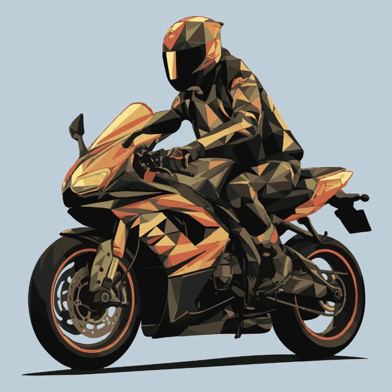 Le motard