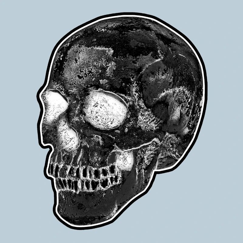 CLASSIC BLACK & WHITE SKULL