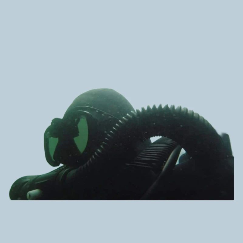 Diver