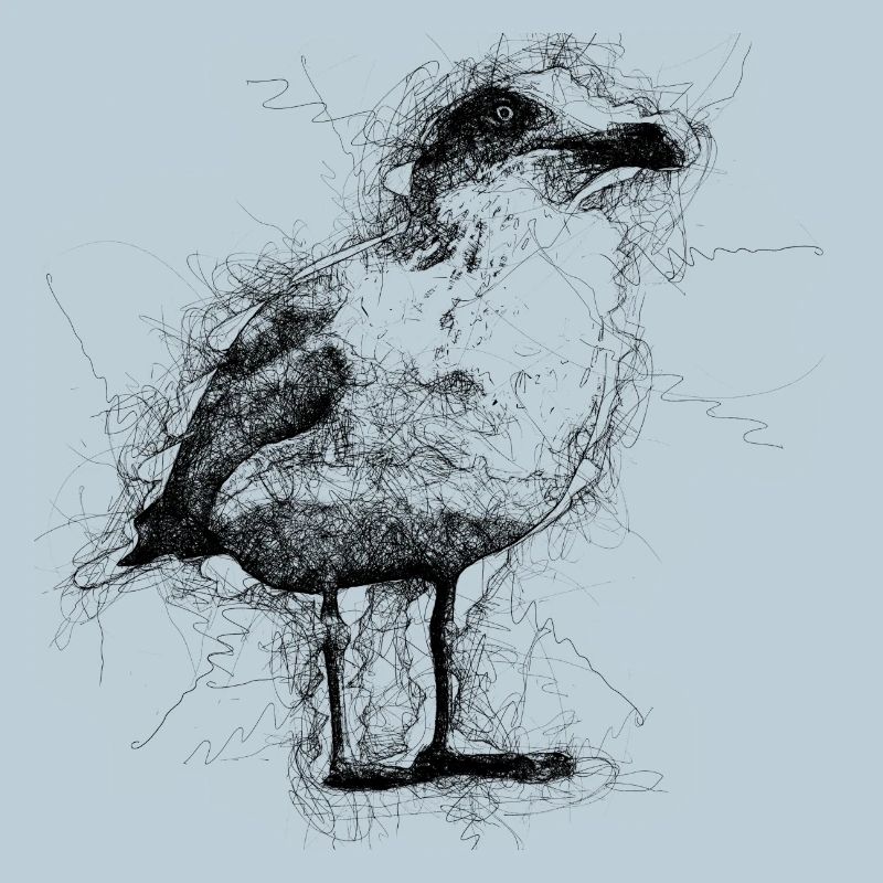 Mouette