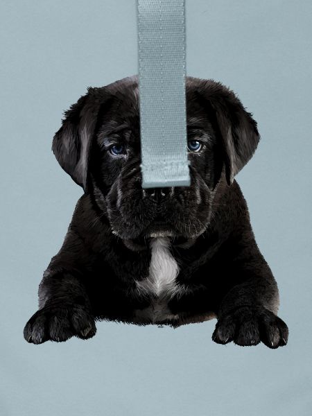 Puppy