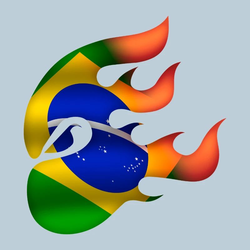 Drapeau du Brésil - Brésil - Ninja