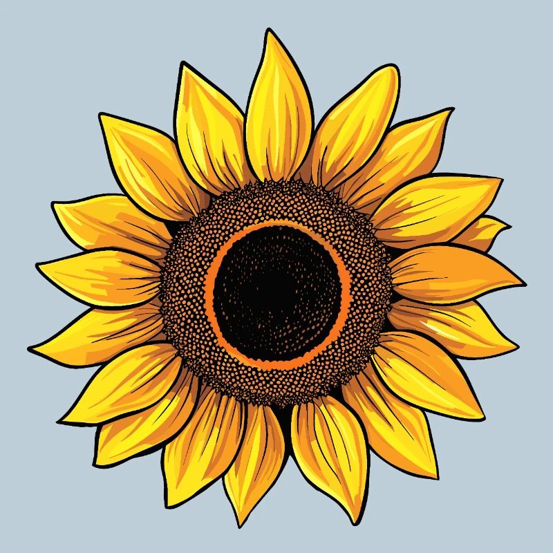 sonnenblume