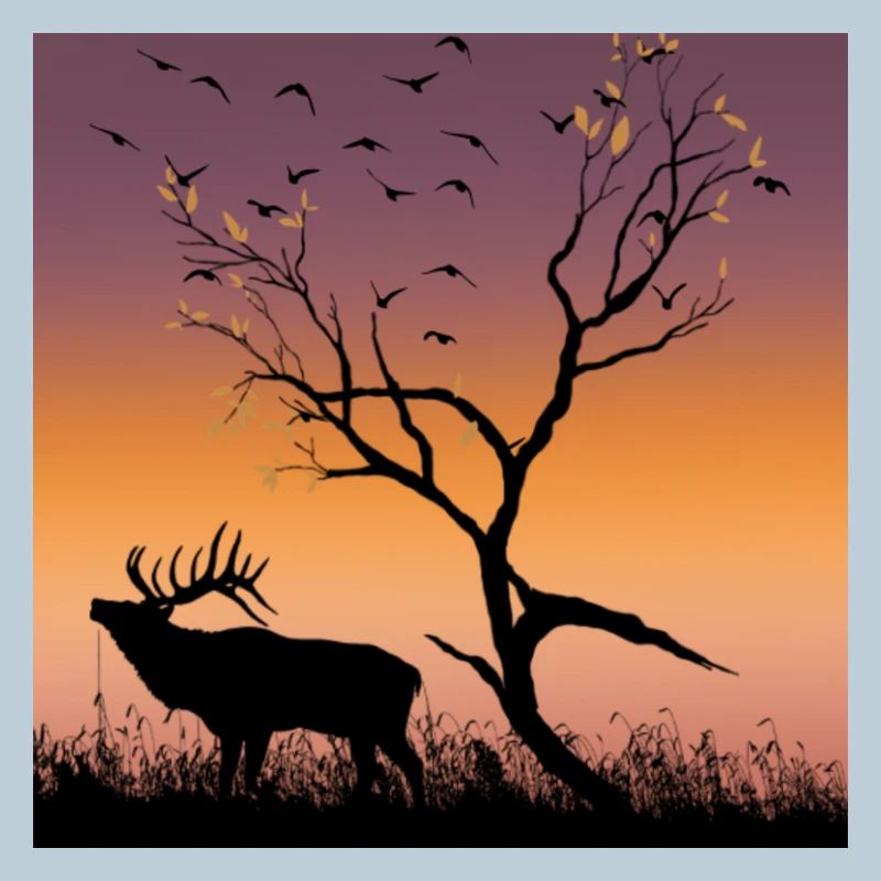 Sunset Nature