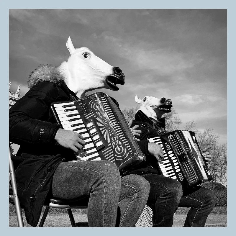 Bande de chevaux